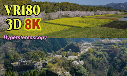 Aerial Hyperstereoscopic 3D Video of famous cherry blossom viewing spots in Kyushu, JAPAN