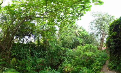 Part.1/2 - Hidden Path at Ubud