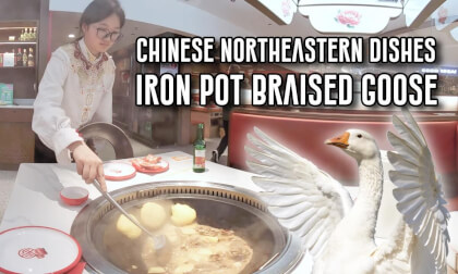 Chinese Northeastern Dishes - Iron Pot Braised Goose