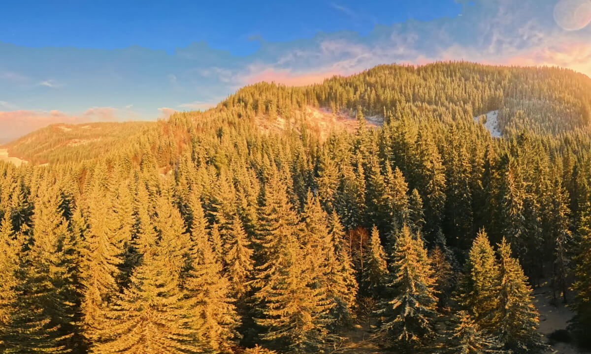 Spring Snowfall on Våttån Mountain | Norway VR360 | DeoVR
