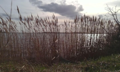 Fehmarn Island March 2026 - Flat 3D