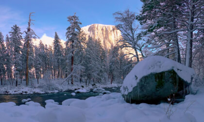 Yosemite In Snow- El Capitan and Trees