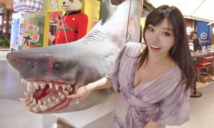 Wow! Help! It's a huge shark!