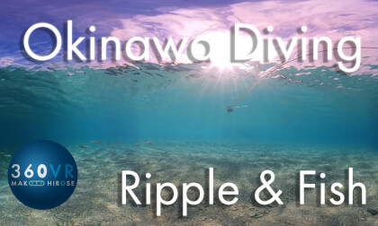 Okinawa Diving -Travel JAPAN- [ Ripple & Fish ]