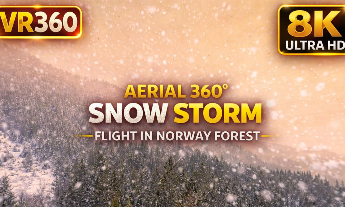 After the Snowstorm in Norway | Winter Forest