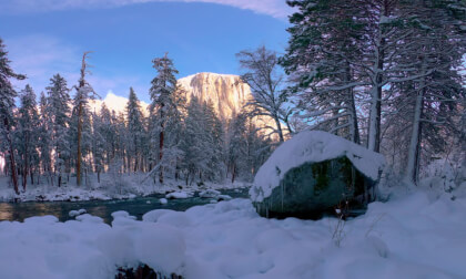 Yosemite In the Snow-Besides the Merced River