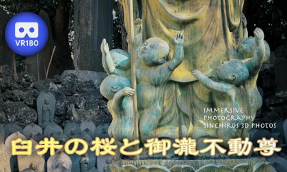 The Cherry Blossoms of Usui and Otaki Fudōson-Pray for peace