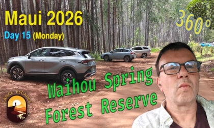 Waihou Spring Forest Loop in Real Time - 360