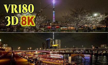 A beautiful collaboration of illuminated houseboats, Tokyo Skytree, and cherry blossoms at night. in  Sumida-Park , Tokyo , JAPAN