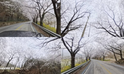 Hadong Simni Cherry Blossom Road #4