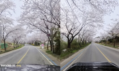 Hadong Simni Cherry Blossom Road #1