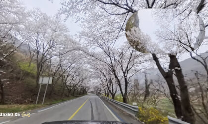 Hadong Simni Cherry Blossom Road #3