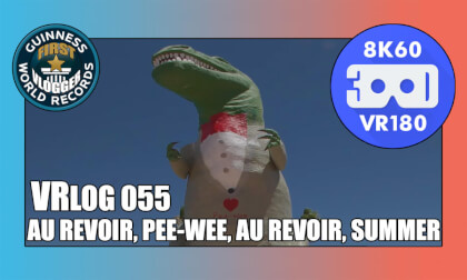 Au Revoir, Pee-Wee, Au Revoir, Summer - VRLOG 055