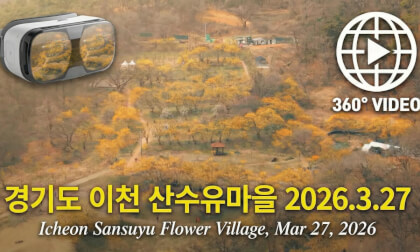 360 VR ICheon SanSuYu Flower Village 이천 산수유 마을