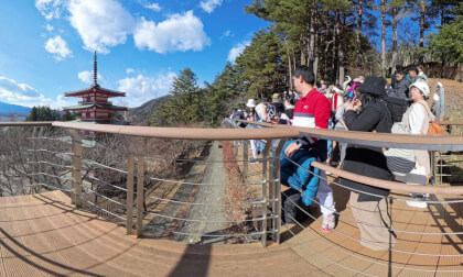 Mt Fuji Arakurayama Sengen Park 新倉山浅間公園
