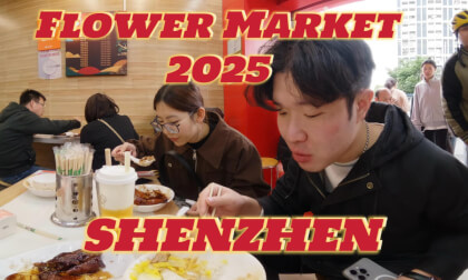 Exploring 2025 Shenzhen Spring Festival Flower Market