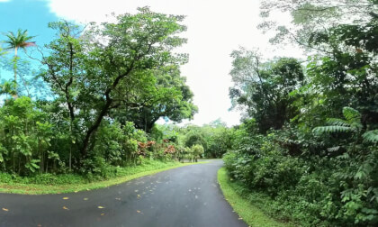 360 VR Hoʻomaluhia Botanical Garden drive from Center to Picnic Pavillion