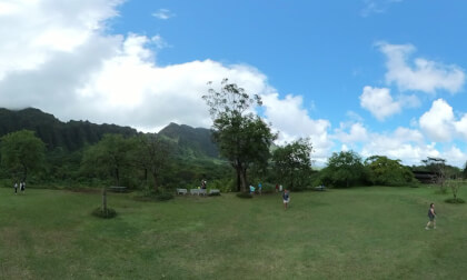 360 VR Hoʻomaluhia Botanical Garden Picnic Pavillion