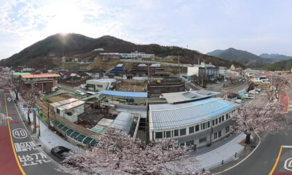 Hapcheon Cherry Blossom Road