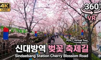 [360 VR] Is this Cherry Blossom Heaven? 🌸 Virtual Spring Walk at Sindaebang Station