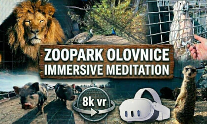 Zoopark Olovnice: Immersive Meditation & Relax​ 8K VR 360°