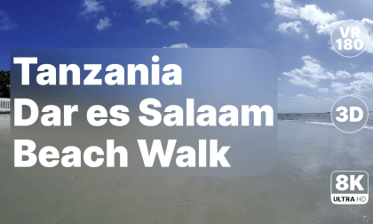 Tanzania - Fisherman and Beach Walk Part I 8K 180 3D