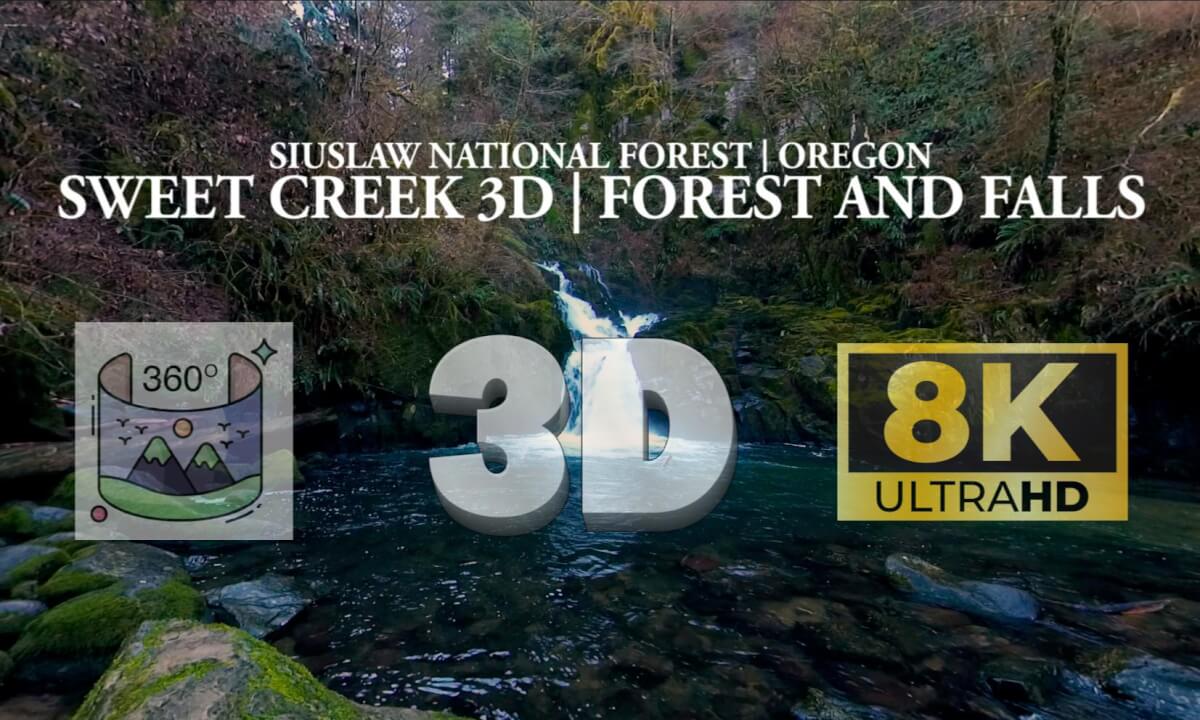 Sweet Creek Falls and Forest | A 360° 3D VR Nature Experience