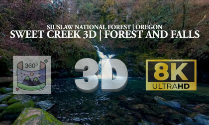 Sweet Creek Falls and Forest | A 360° 3D VR Nature Experience