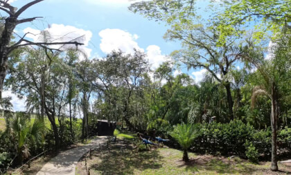 360 Dinosaur World