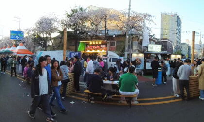 Jinhae Cherry Blossom Festival_1 (20260405)