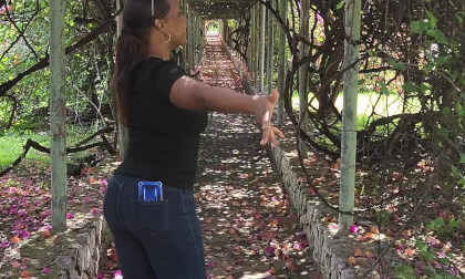 Hope Gardens Jamaica