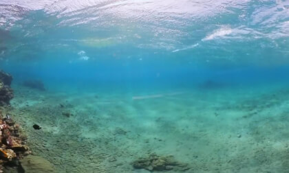 Marsa Alam Underwater