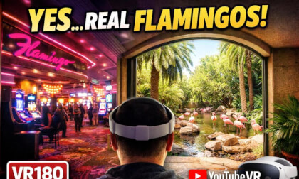 6K VR180 Flamingo Walk through virtual vegas