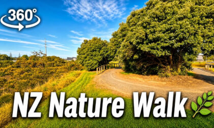 [New Zealand] Beautiful local track Highbrook Park walking with talking Japanese