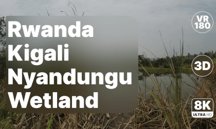 Rwanda Kigali - Nyandungu Urban Wetland Park Walk 8K 180 3D