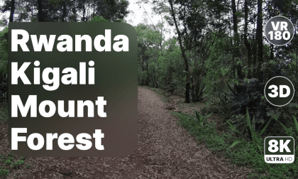 Rwanda Kigali - Mount Kigali Forest Walk 8K 180 3D