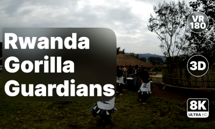 Rwanda - Gorilla Guardians Village 8K 180 3D