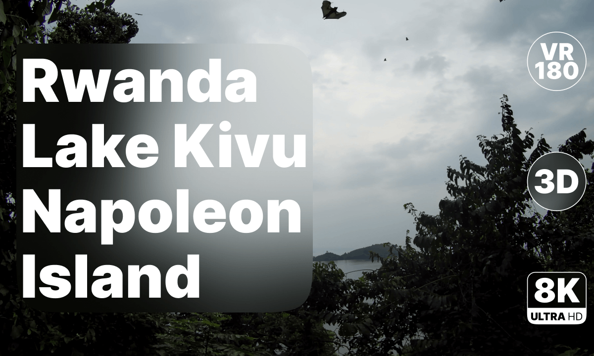 Rwanda Lake Kivu - Napoleon Island Walk 8K 180 3D