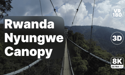 Rwanda Nyungwe National Park - Canopy Walk 8K 180 3D