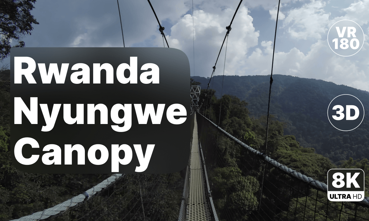 Rwanda Nyungwe National Park - Canopy Walk 8K 180 3D