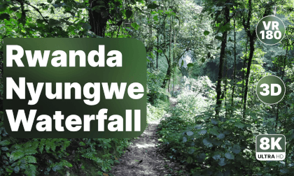 Rwanda Nyungwe National Park - Waterfalls Walk 8K 180 3D