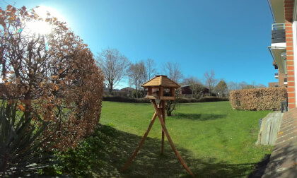 VR180 - Birdhouse Action