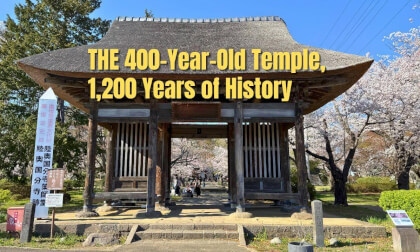 A Quiet Spring Temple in Japan | Mutsu Kokubunji Yakushido VR180
