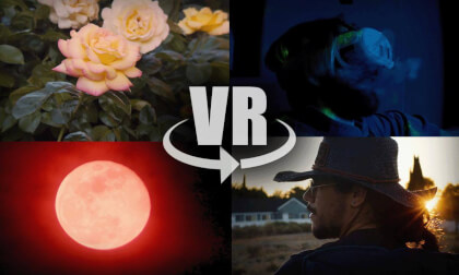 Immersive Cinematography Showcase