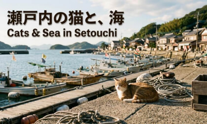 Setouchi Weekend Walk | 瀬戸内海の週末散歩 - No Narration VR360°