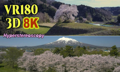 Aerial Hyperstereoscopic 3D Video of famous cherry blossom viewing spots in Tohoku, JAPAN