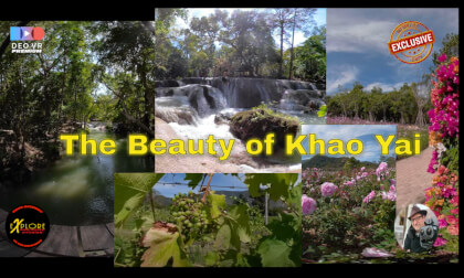 The Flowers, Waterfalls, Grapes And Beauty of Khao Yai Thailand The Flowers, Waterfalls, Grapes And Beauty of Khao Yai Thailand