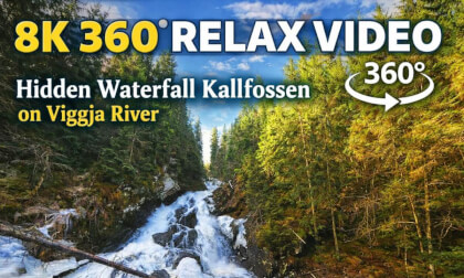 Hidden Forest Waterfall 🌲 Kallfossen | 8K 360° VR Relax Nature | Norway River Viggja