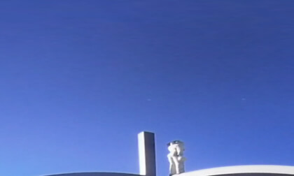 sculpture
