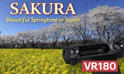 SAKURA Beautiful Springtime in Japan